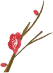 ͼƬ